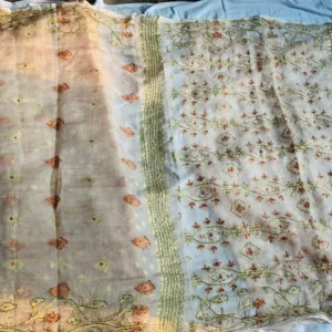 Dual Tone Pastel Embroidery Saree