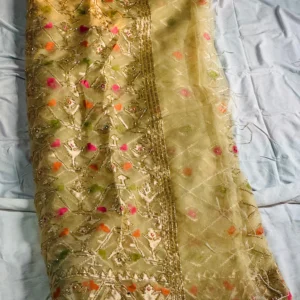 Golden Festive Embroidery Saree