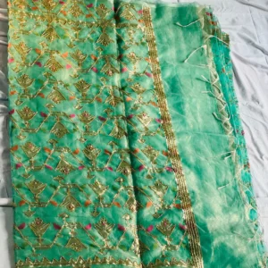 Mint Green Festive Embroidery Saree