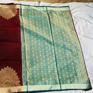 Royal Zari Panel Contrast Saree