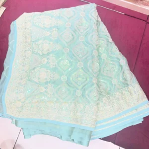 Aqua Mint Royal Embroidery Saree