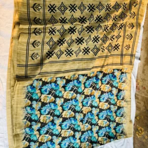 Dual Pattern Beige Fusion Saree