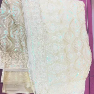 Ivory Aura Embroidery Saree