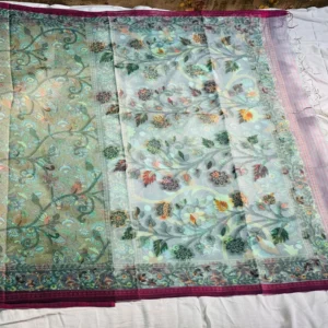 Aqua Meadow Dual Tone Saree