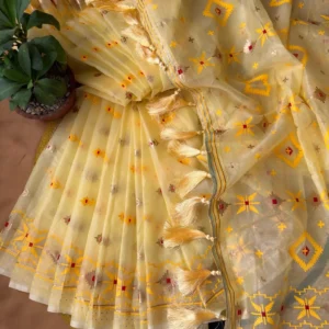 Golden Sheer Festive Tassel Saree