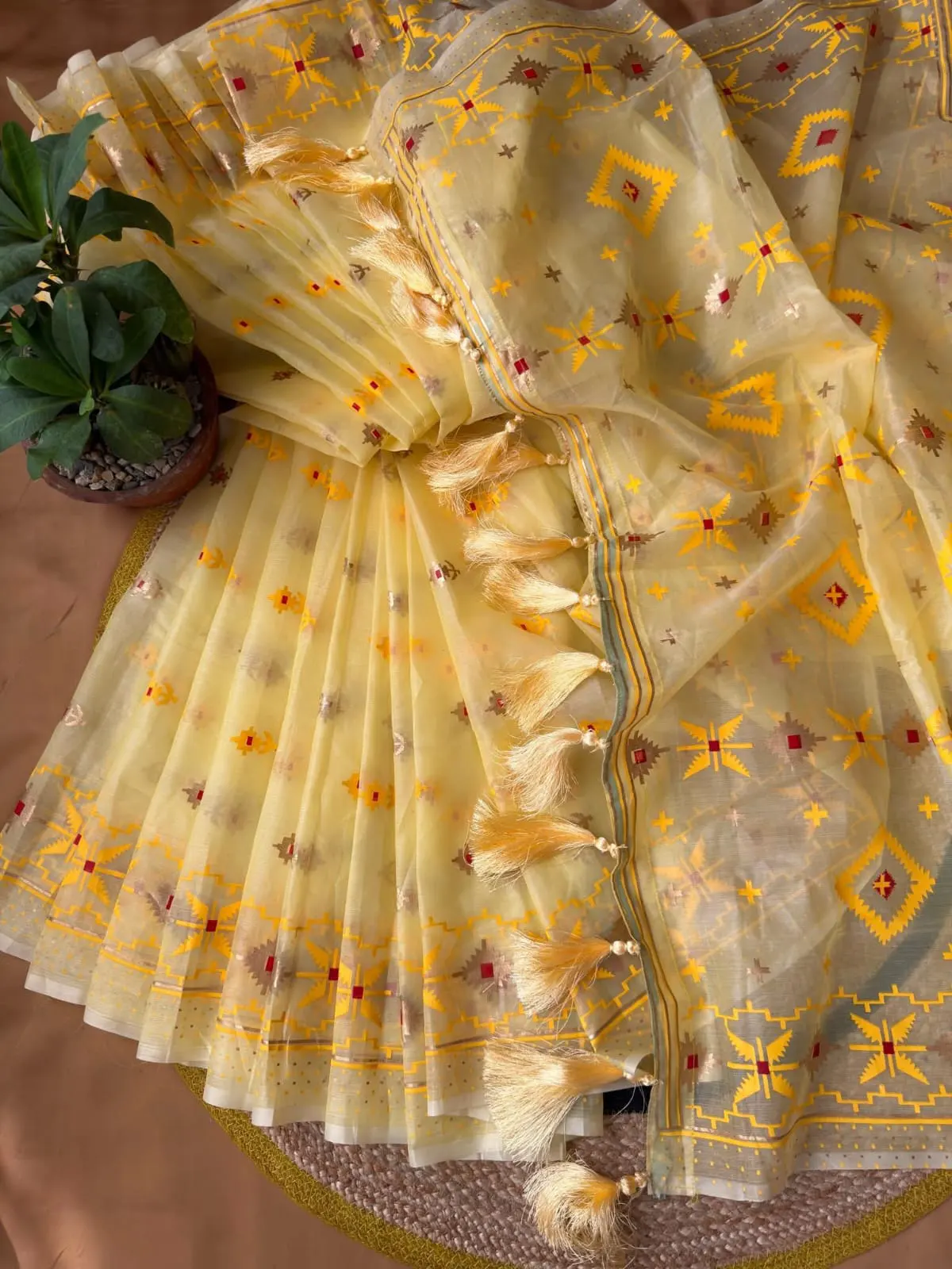 Golden Sheer Festive Tassel Saree