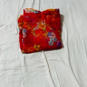Crimson Garden Soft Floral Saree